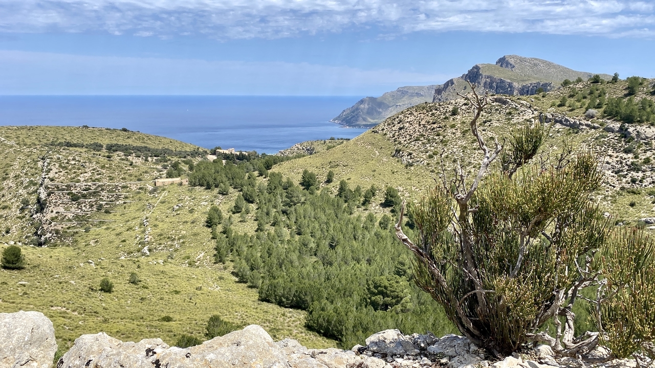 Nord-Osten Mallorcas